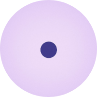 StillPoint Scalar Repatterning icon StillPoint Scalar Repatterning icon